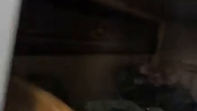 Это видео, Димон смотреть онлайн