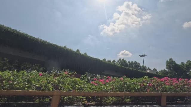 Китай, Сямен (Xiamen), Jul 2024, зеленые дорожные эстакады и развязки смотреть онлайн