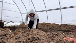 Подогрев грунта кабелем. Ранний урожай в теплице с теплой грядкой.