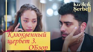 Клюквенный щербет 3 сезон. Обзор первых серий