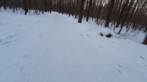 лыжи brados pro skate air carbon в теплую погоду с мазью скольжения по укатанному снегу