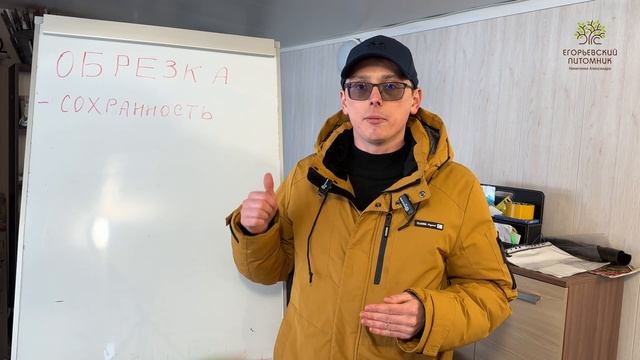 Зачем нужна весенняя обрезка в саду? Рассказывает агроном питомника смотреть онлайн