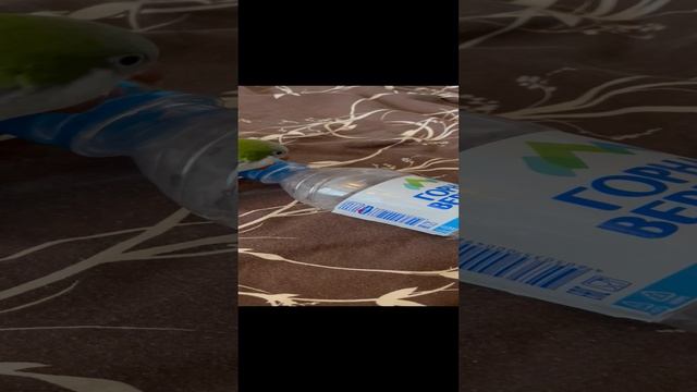 Открутил пробку