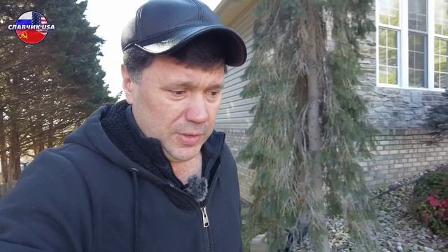 Цены на интернет и мобильную связь в Америке смотреть онлайн