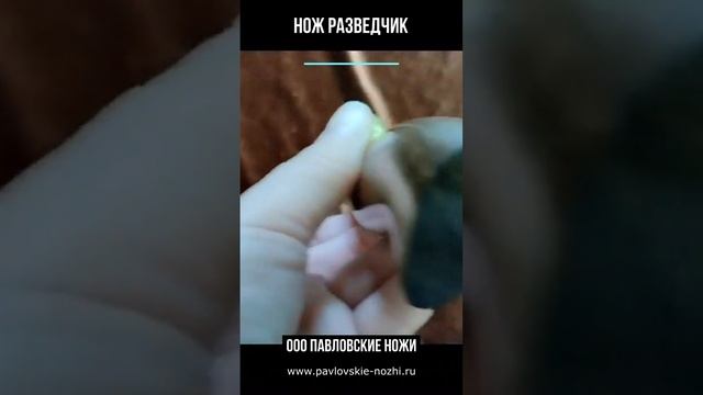 Нож Разведчик смотреть онлайн