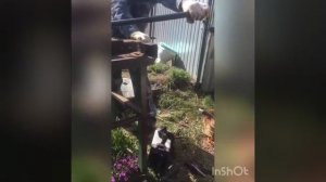 Замятие окончаний профильной трубы