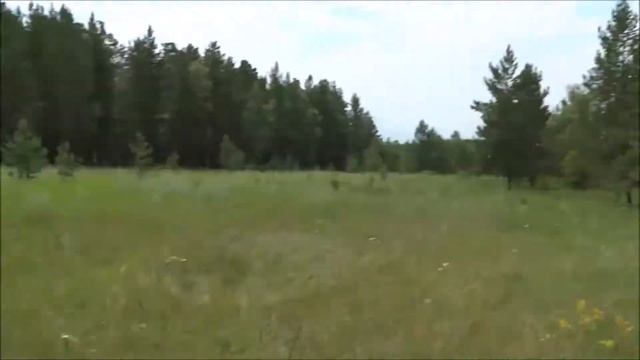 Едим отдыхать/ Сосновый бор в Макинке смотреть онлайн