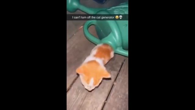 i can't turn off the cat generator смотреть онлайн