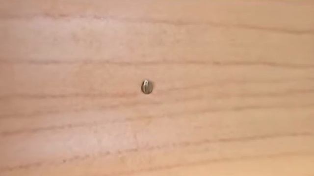 plintusa смотреть онлайн
