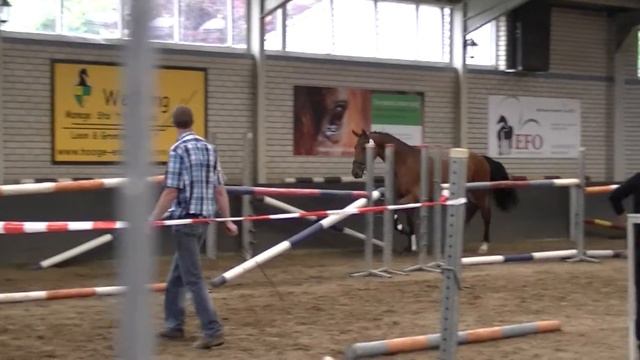 Godiva Amanda ster prok v. Alexandro P x voorlopig keur v. Farrington смотреть онлайн