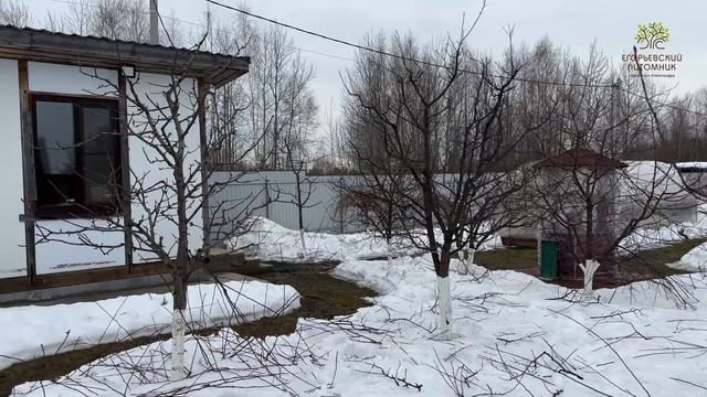 Молодой сад с обрезкой. Красиво, аккуратно и практично. смотреть онлайн