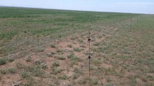 Поставили стандартные заводские изоляторы на электропастух.