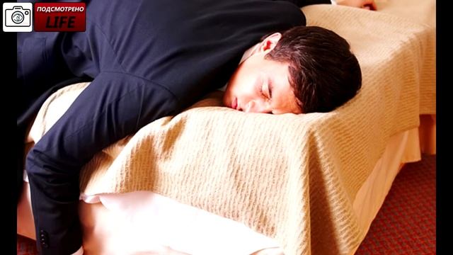 На кухню с котом смотреть онлайн