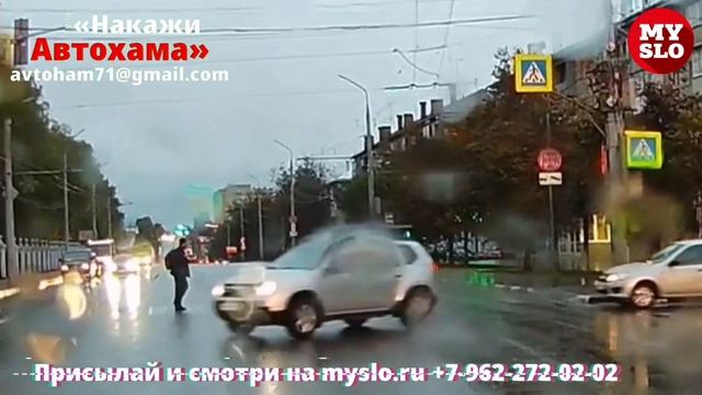 На ул. Октябрьской в Туле заметили невозмутимого «пешехама» смотреть онлайн