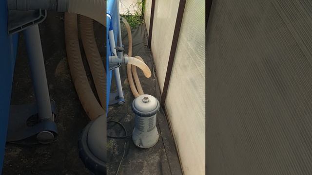 Бассейн в теплице.