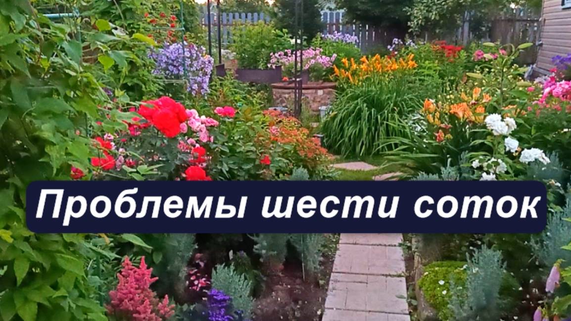 Как мы на своих шести сотках помещаемся смотреть онлайн