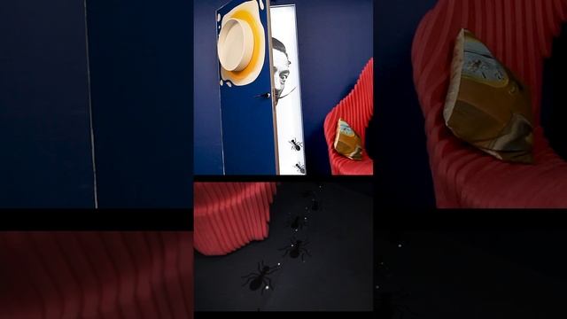 Что думают дизайнеры про скрытые двери. Выставка Биеналле. смотреть онлайн