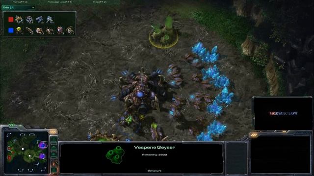 HD Starcraft 2 Jinro v ForgetAmanda p1/3 смотреть онлайн