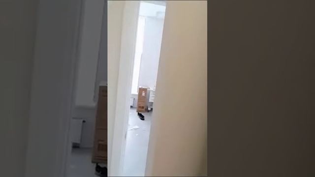монтаж 7-ми дверей в стоматологии г Москва смотреть онлайн