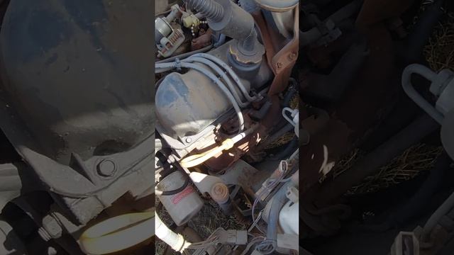Date coded plug wires on this 83 mustang? смотреть онлайн