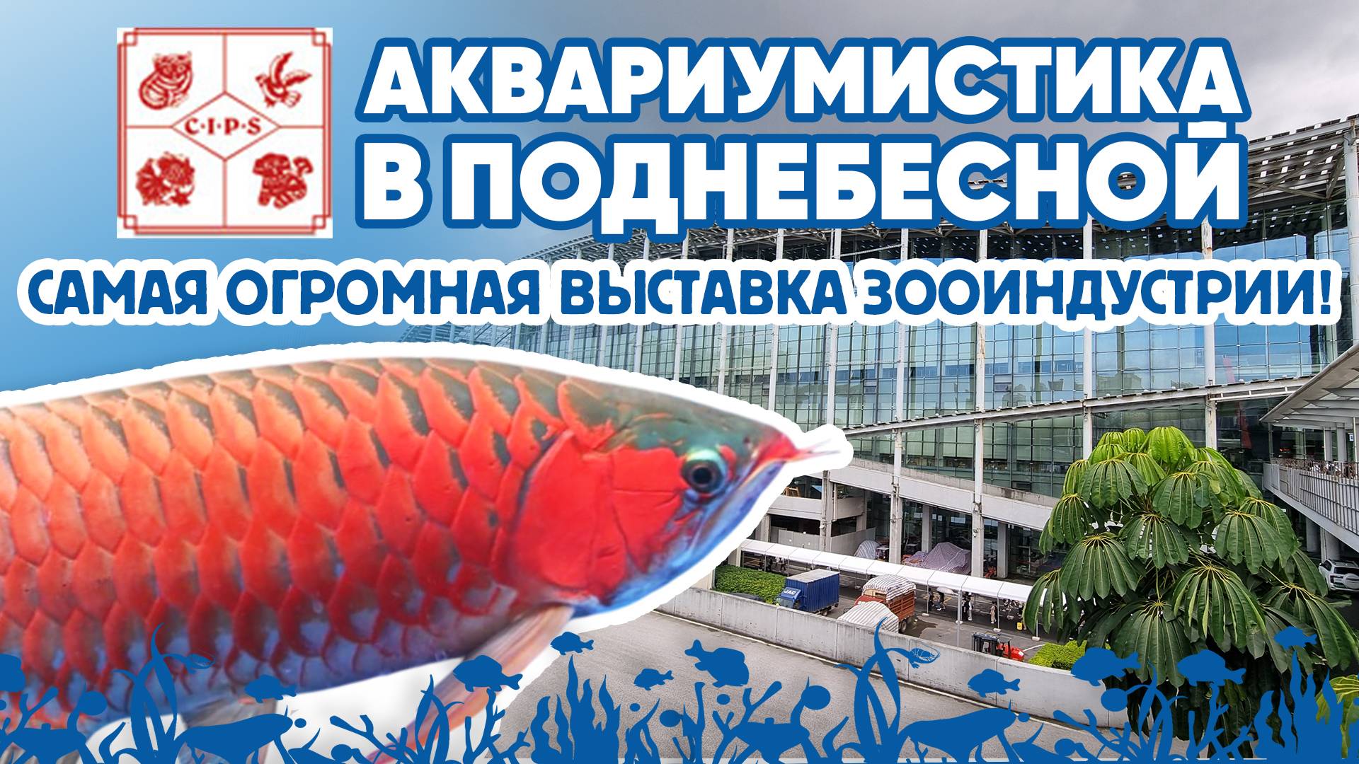 Аквариумистика в поднебесной. Самая ОГРОМНАЯ выставка зооиндустрии в мире! смотреть онлайн