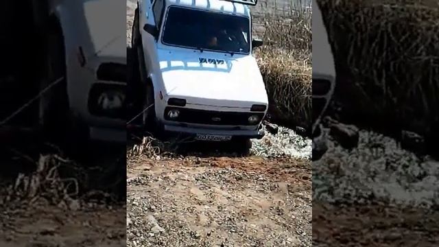 нива смотреть онлайн