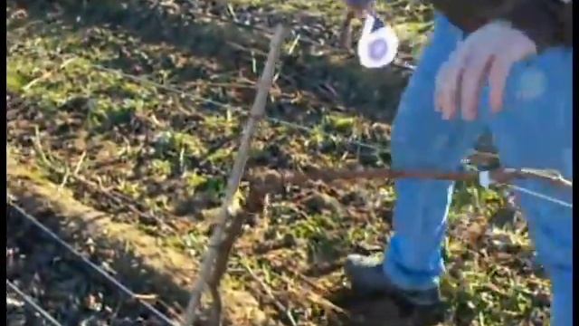 Что такое Тапенер Tapetool и как он облегчает жизнь!