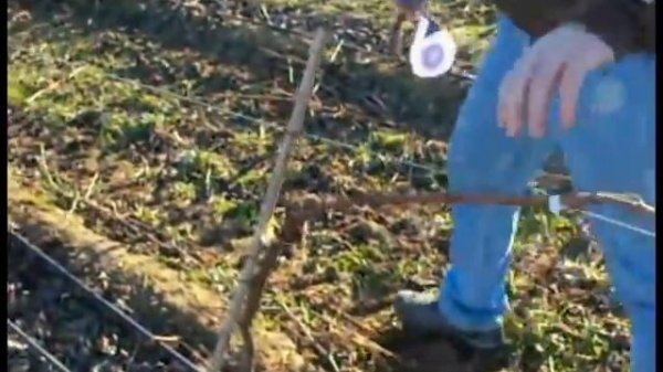 Что такое Тапенер Tapetool и как он облегчает жизнь!