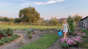 НОВЫЙ ТЕКСТИЛЬ ДЛЯ ДОМА/КОЛЕУСЫ В КАШПО/ОГОРОД В КОНЦЕ АВГУСТА