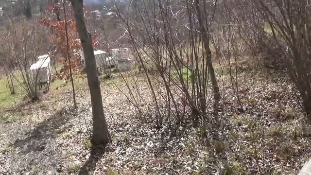 На пасеке 5 марта смотреть онлайн