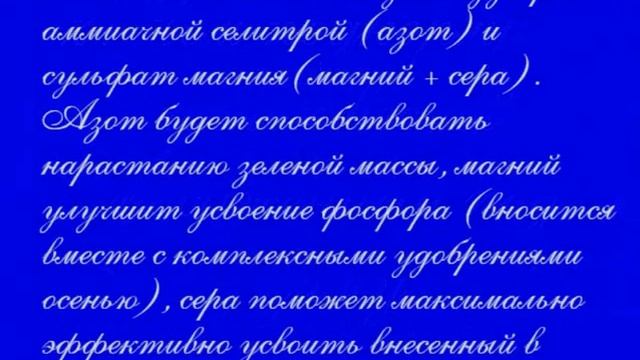 Чеснок весной. Первая обработка.Первая подкормка.Сделайте это обязательно и чеснок вас отблагодарит смотреть онлайн
