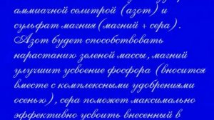 Чеснок весной. Первая обработка.Первая подкормка.Сделайте это обязательно и чеснок вас отблагодарит
