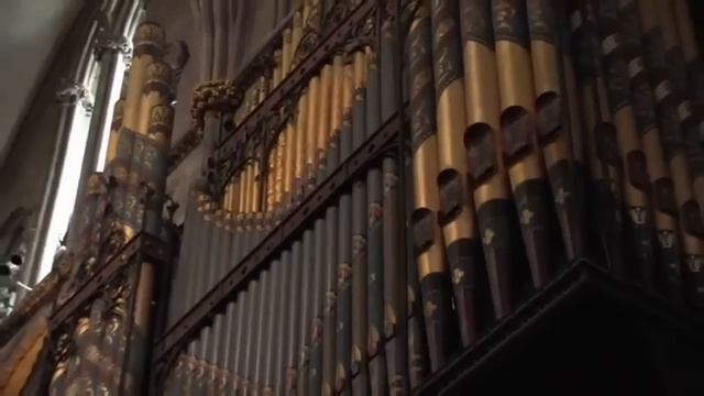 Концерт органной музыки I Шедевры классической музыки смотреть онлайн