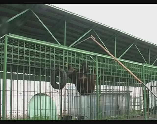 2006 Ярославль