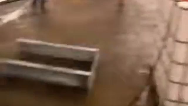 Мойка еврокубов головками OMZ P