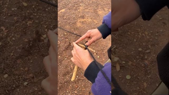 Best KNOT for the FOREST 🌳 #knot #forest #camping #tree #woods #rope #skills смотреть онлайн