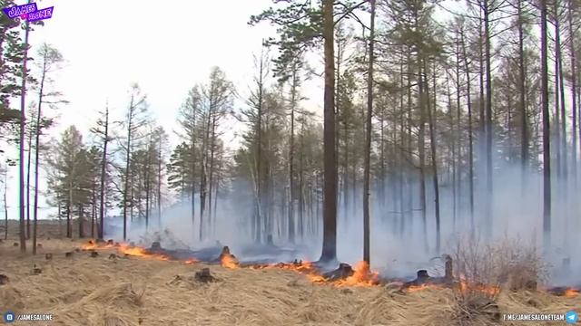 Позорище! ПОДЕЛКИ из туалетной БУМАГИ для ДЕТЕЙ и очередной БРЕД от первого канала - смотреть онлайн