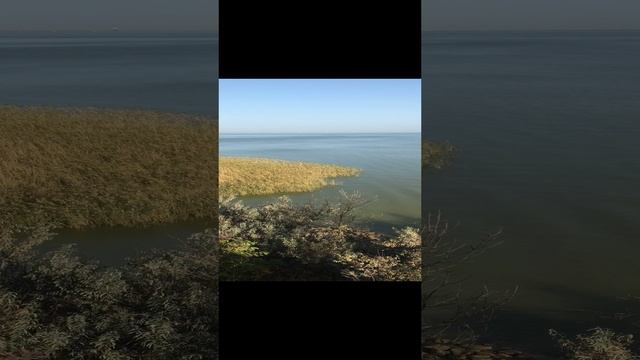 Осенние берега Азовского моря. смотреть онлайн