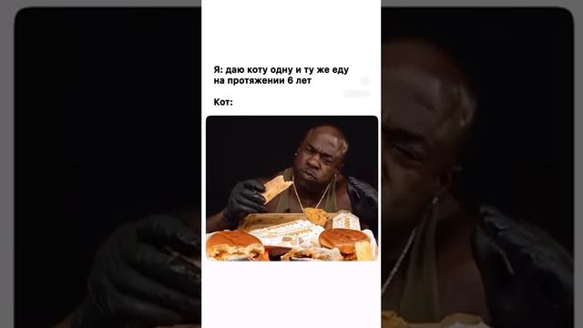 video 2024 09 24 13 14 31 5 смотреть онлайн