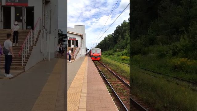 РЖД во всей красе. Чисто русский сервис. #ржд #поезд #россия смотреть онлайн