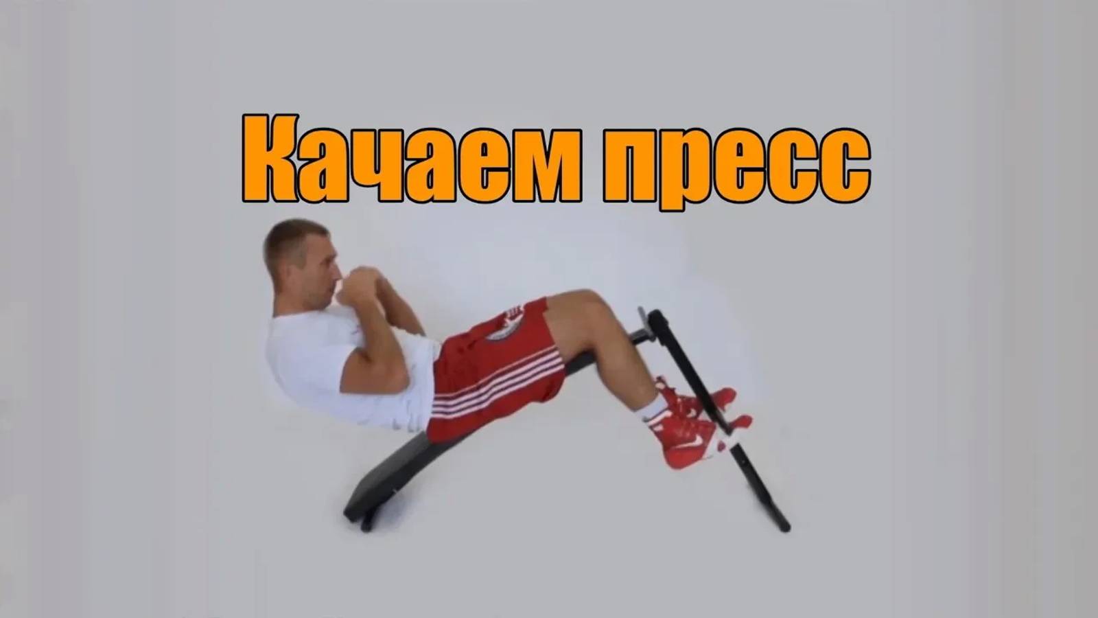 Скамья для пресса Absolute Champion Bench с выгнутой спинкой смотреть онлайн