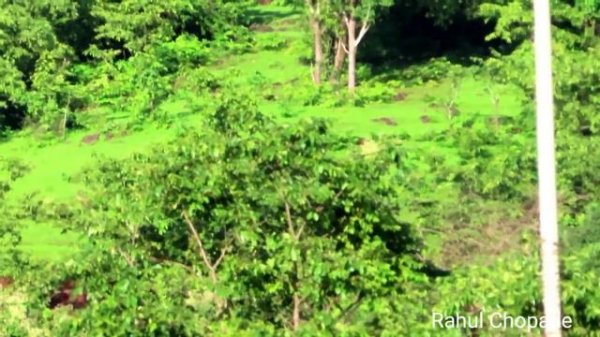 Canon Powershot SX740 HS Zoom Test and Image Quality