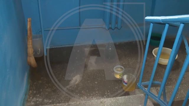 Две недели жильцы одного из домов Костаная не могут добиться ответа от акимата смотреть онлайн