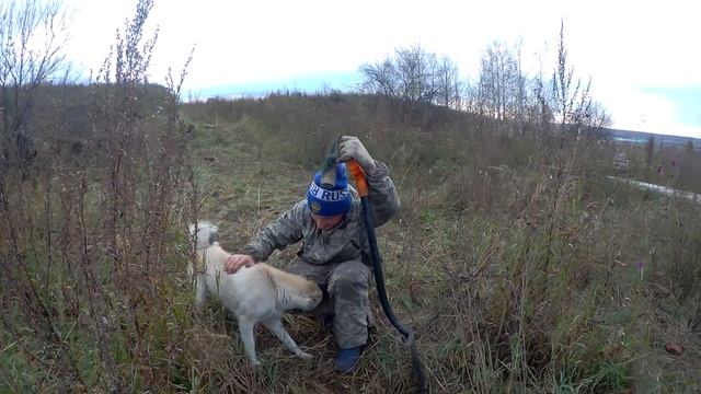 КОП НА МТМ/МЕТАЛЛОКОП 2020/ПУТЬ К УСПЕХУ/НАШЛИ КОНВЕЙЕРНУЮ ЛЕНТУ/СЕРИЯ №2/СЕРИАЛ ДЛИННОЙ В ЖИЗНЬ/ смотреть онлайн