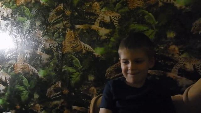 ДАЖЕ РЕБЕНОК ПОНИМАЕТ,ЧТО НЕТ МУСОРКЕ В ОРЕХОВО-ЗУЕВО,А ЧЕМ ДУМАЮТ ВЛАСТИ??? смотреть онлайн