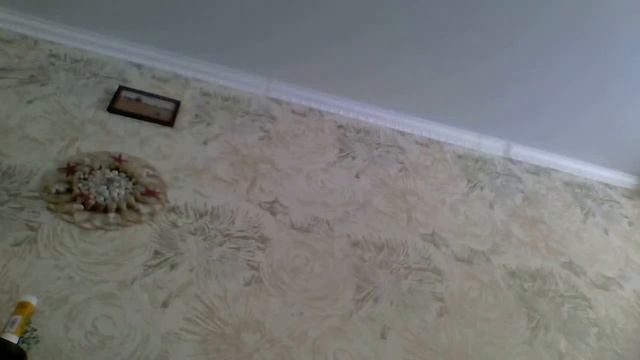 паталок смотреть онлайн