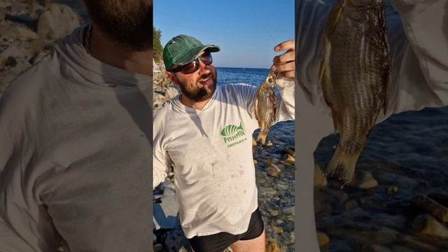 Мой первый морской трофей!) Рыбалка на море! #fishmir #фишмир #нарыбалке #рыбалка #море #морскаярыба смотреть онлайн