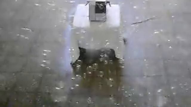 Máquina generadora de burbujas línea "Antari" - modelo B-100 смотреть онлайн