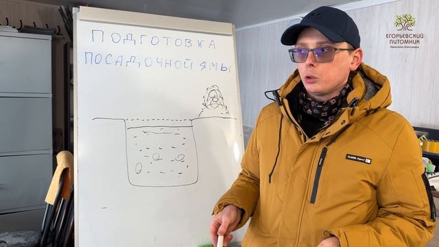 Надо ли заранее готовить яму для посадки саженцев? Ответ агронома смотреть онлайн