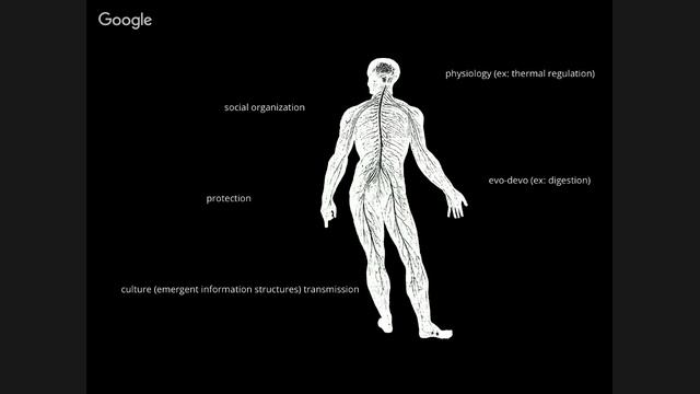 a3 lecture 20151118 смотреть онлайн